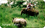 Elephant Safari