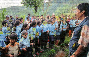 Tree Planting Programme